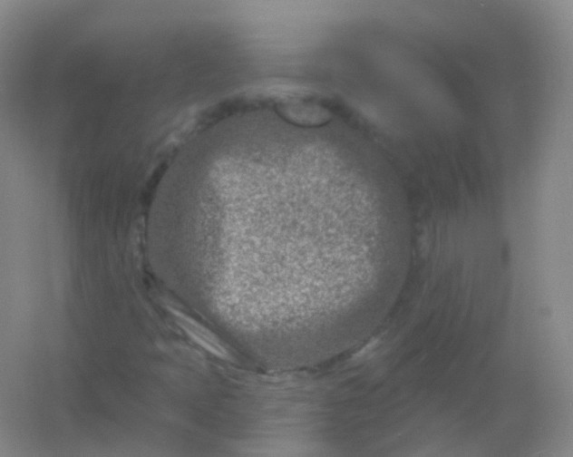 X0000054461397200508121925