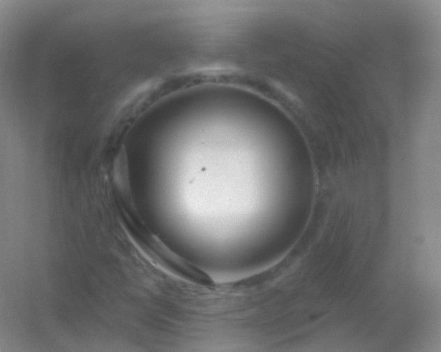 X0000054461398200508121925