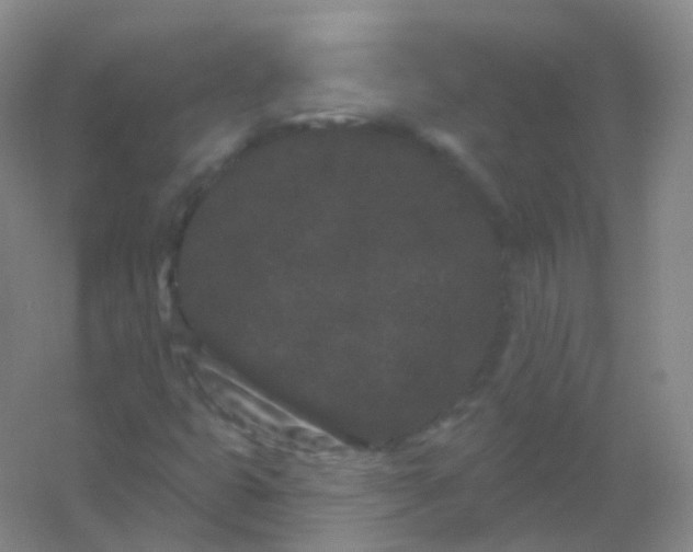 X0000054461399200508121925