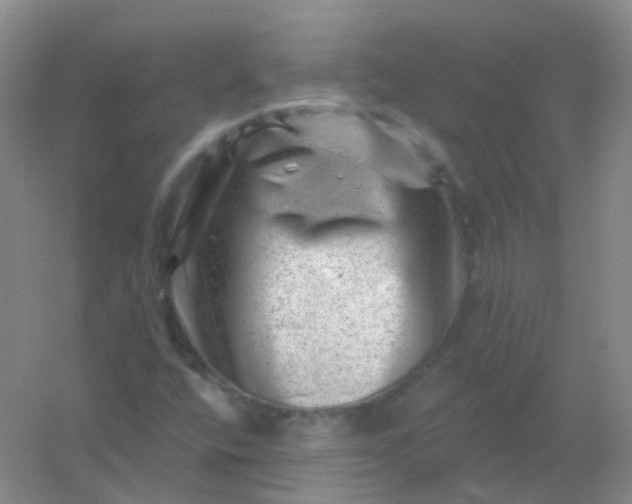 X0000054461400200508121925