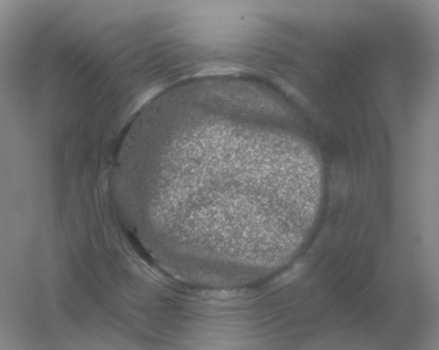 X0000054461401200508121925