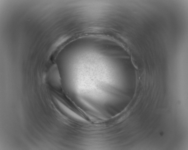 X0000054461402200508121925