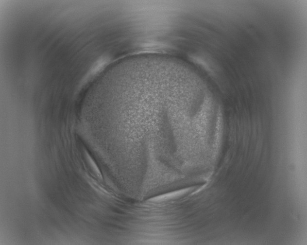 X0000054461403200508121925