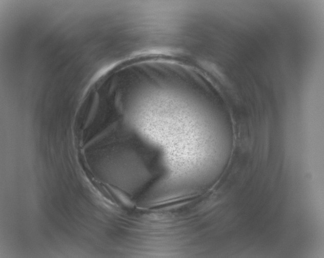 X0000054461404200508121925