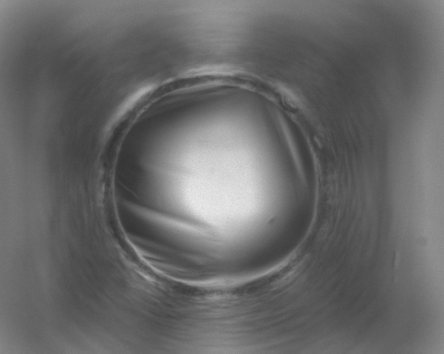 X0000054461406200508121925