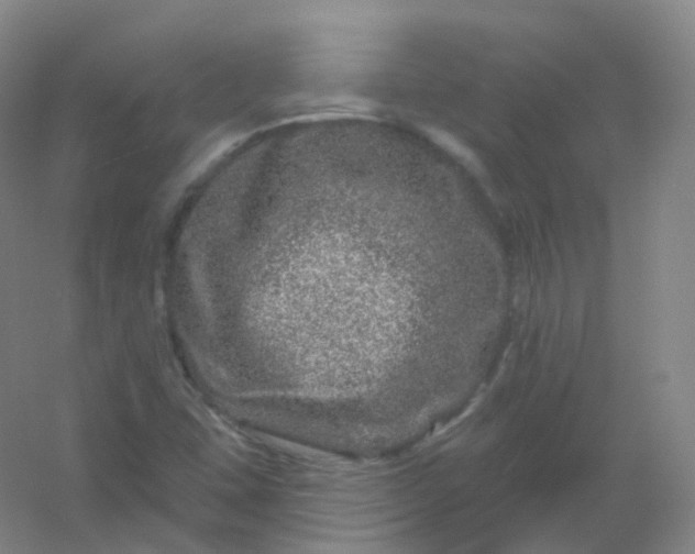 X0000054461407200508121925