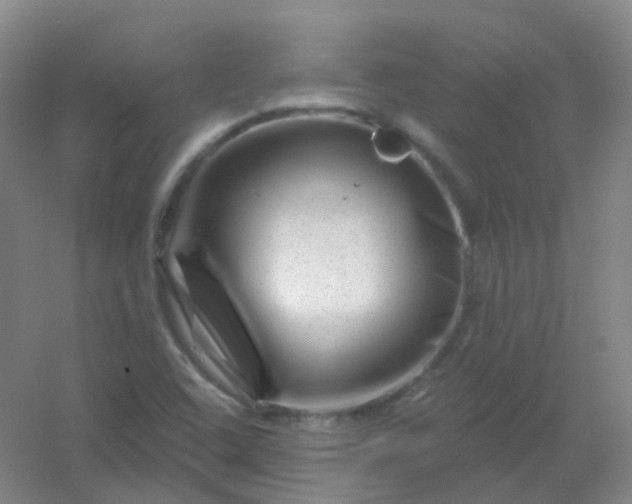 X0000054461408200508121925