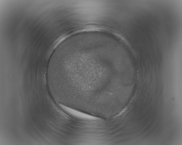 X0000054461409200508121925