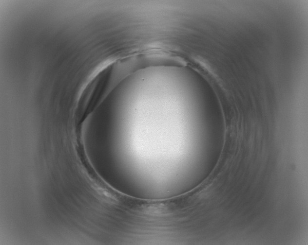 X0000054461410200508121925