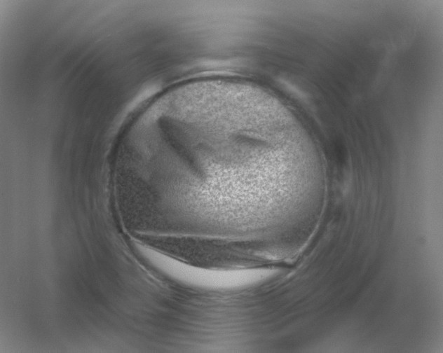 X0000054461411200508121925