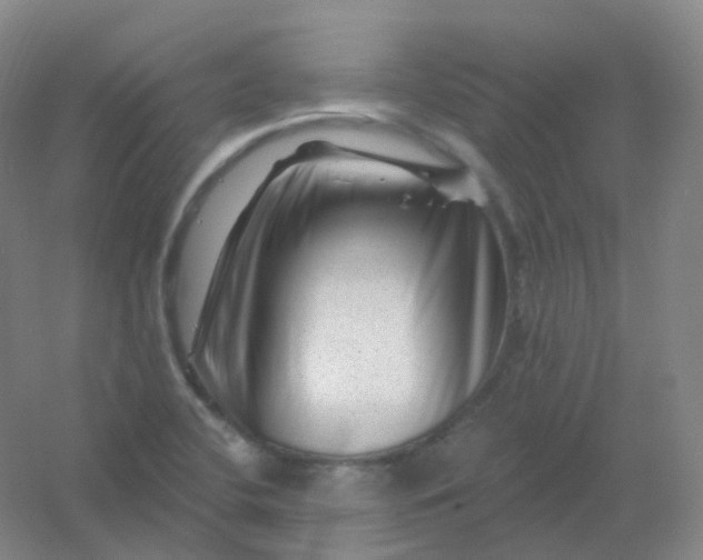 X0000054461412200508121925