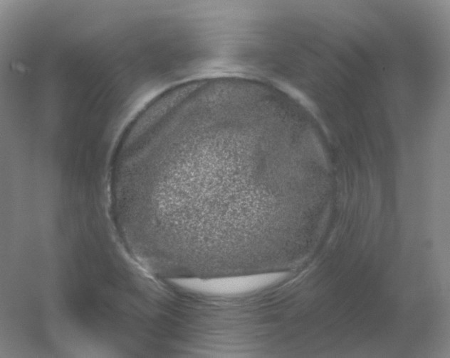 X0000054461415200508121925