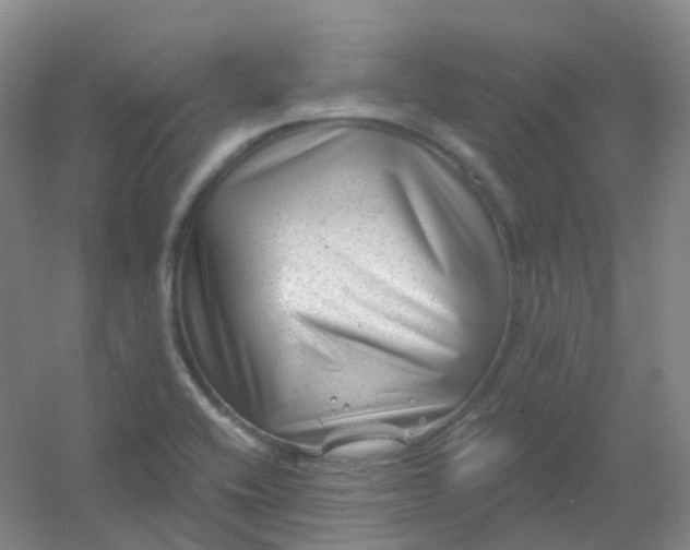 X0000054461416200508121925