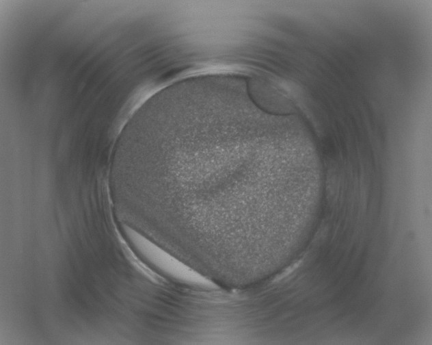 X0000054461417200508121925