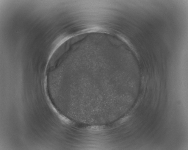 X0000054461418200508121925