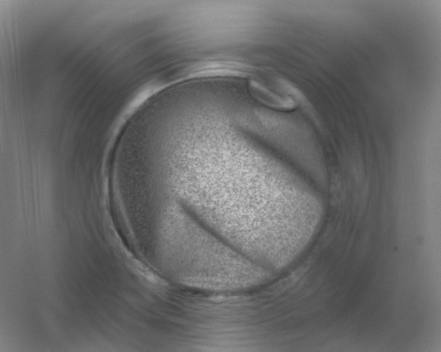 X0000054461419200508121925