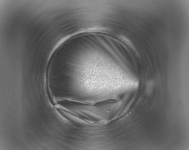 X0000054461420200508121925