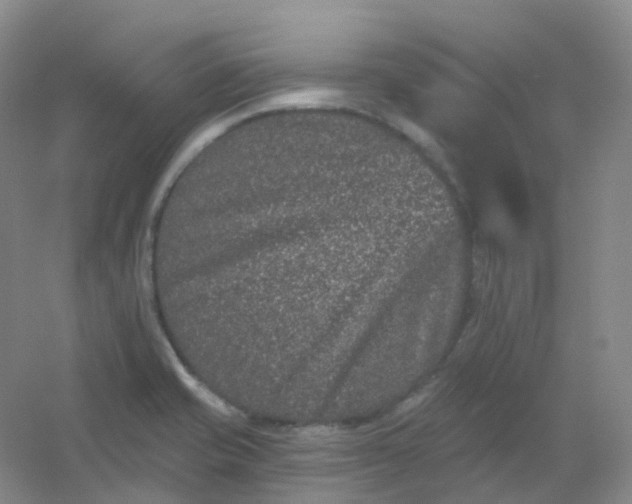 X0000054461421200508121925