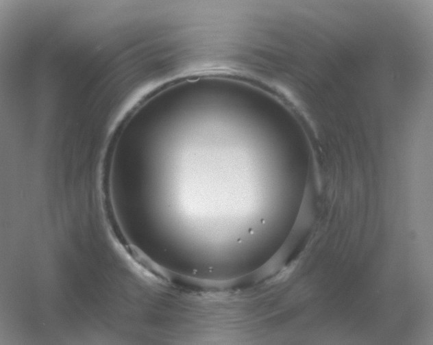 X0000054461422200508121925