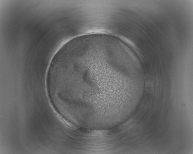 X0000054461423200508121925