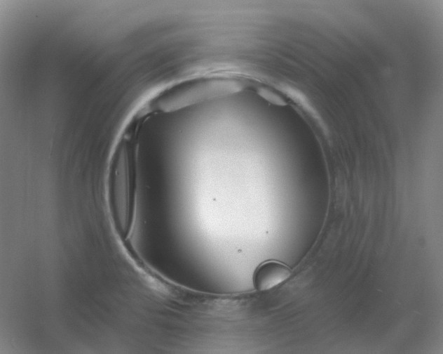 X0000054461424200508121925