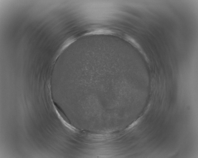 X0000054461425200508121925