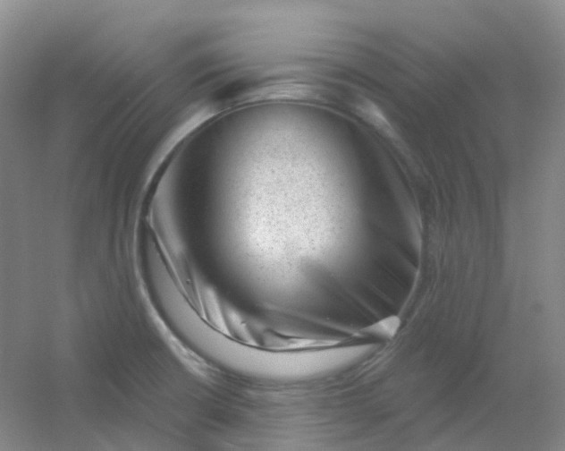 X0000054461426200508121925