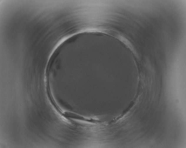 X0000054461428200508121925