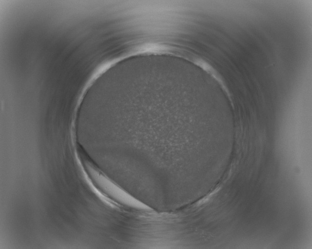 X0000054461429200508121925