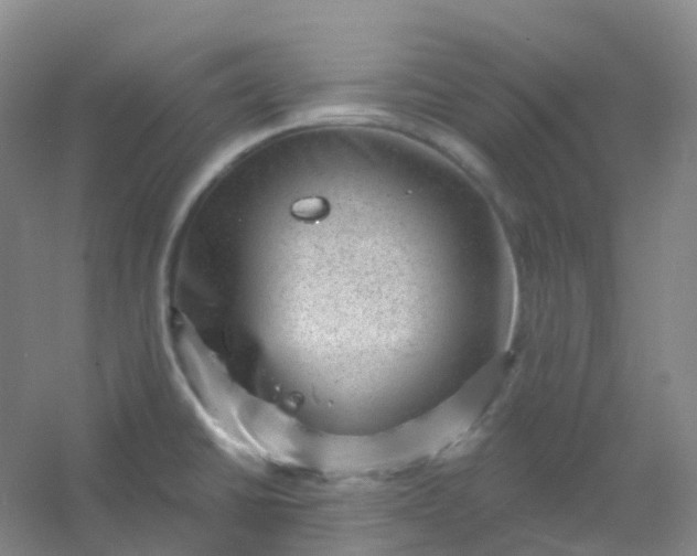 X0000054461430200508121925