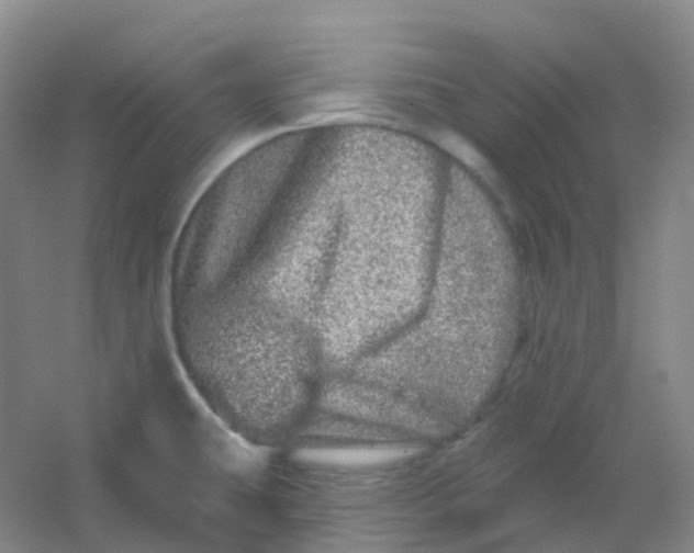 X0000054461431200508121925