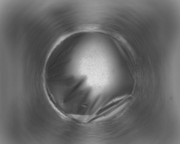 X0000054461432200508121925