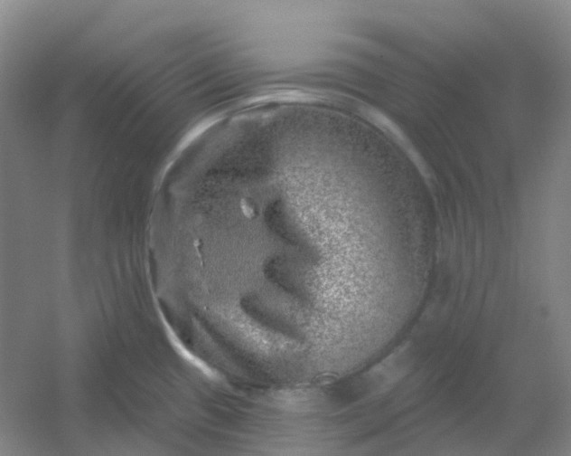 X0000054461433200508121925