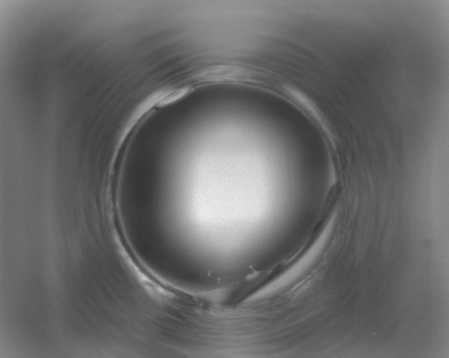 X0000054461434200508121925