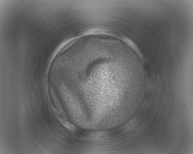 X0000054461435200508121925