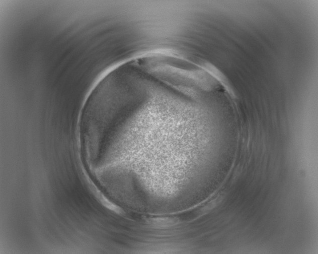 X0000054461436200508121925