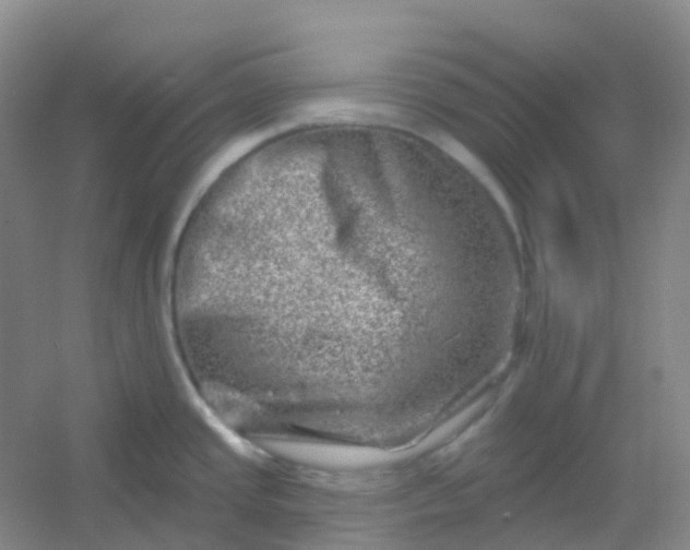 X0000054461437200508121925