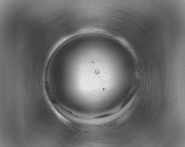 X0000054461438200508121925