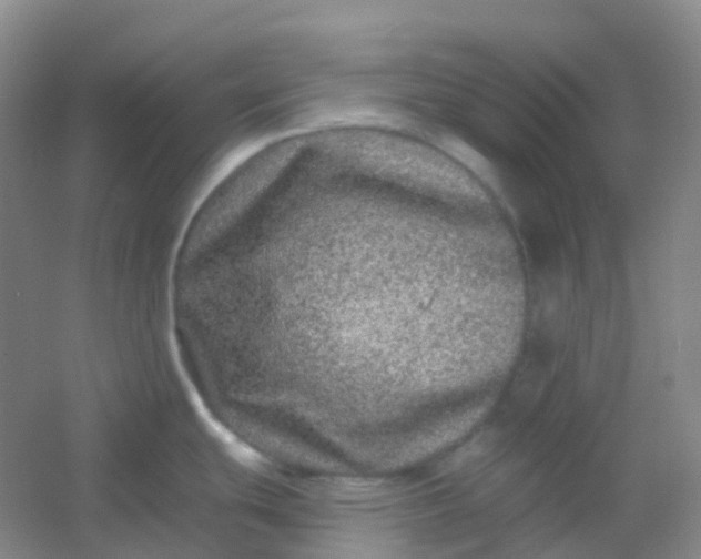 X0000054461439200508121926