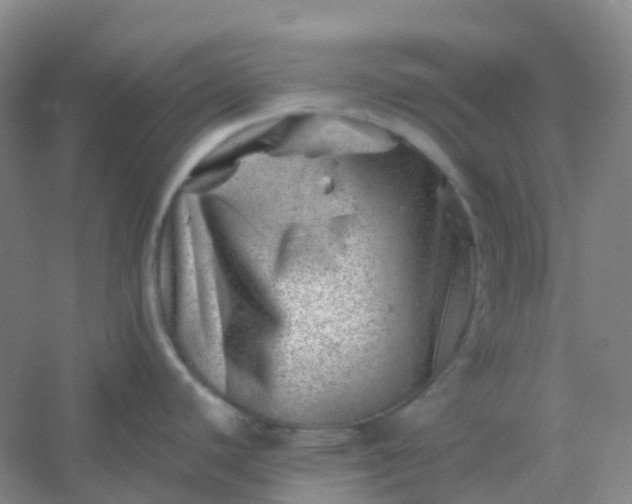 X0000054461440200508121926