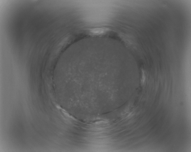 X0000054461441200508121925