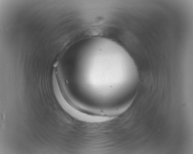 X0000054461442200508121925