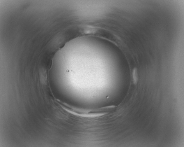 X0000054461443200508121925