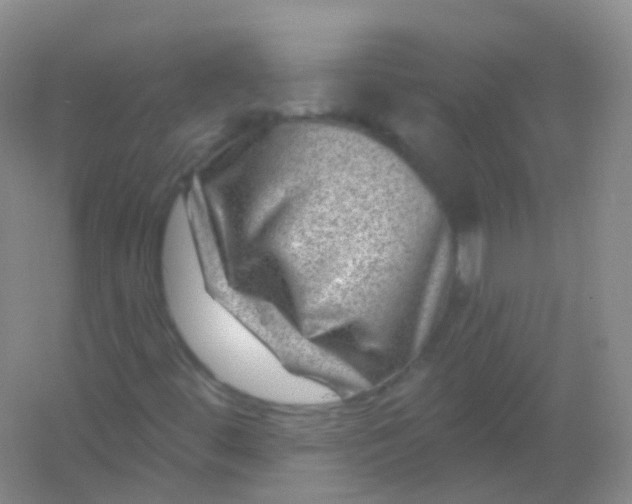 X0000054461444200508121925