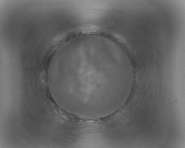 X0000054461445200508121925