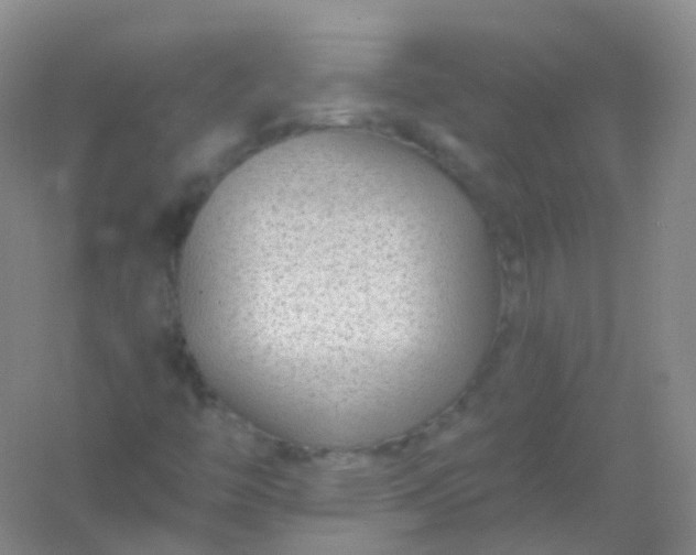 X0000054461446200508121925