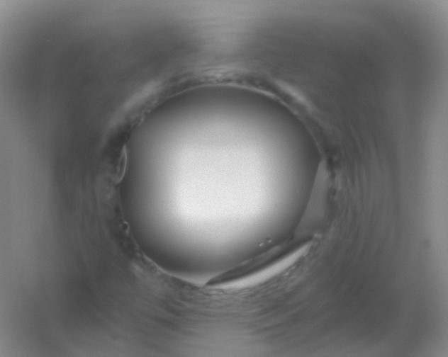 X0000054461447200508121925