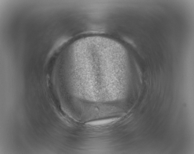 X0000054461448200508121925