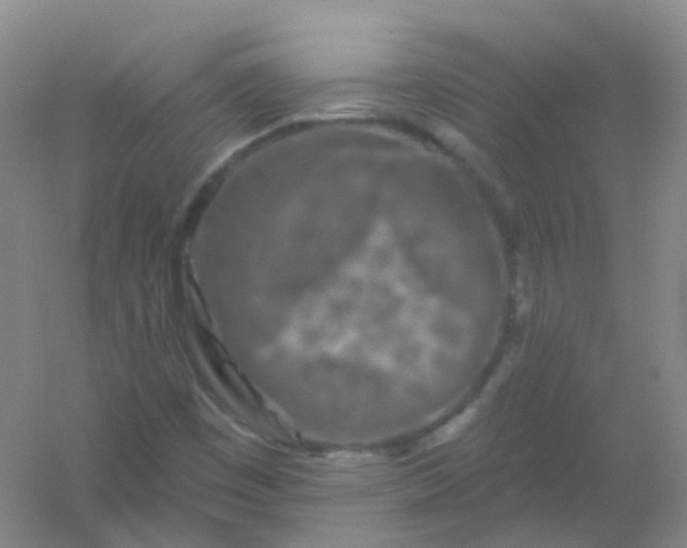 X0000054461449200508121925