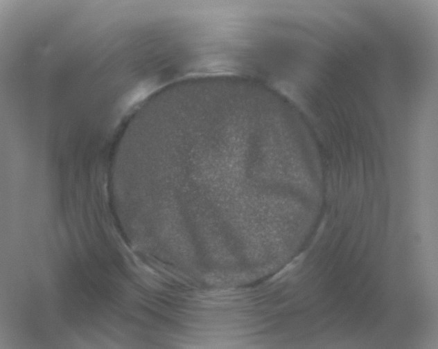 X0000054461451200508121925